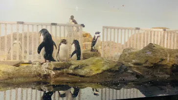 マクセル アクアパーク品川に投稿された画像（2023/7/17）