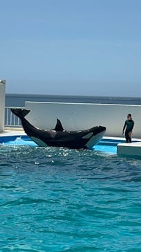 鴨川シーワールドに投稿された画像（2023/7/17）