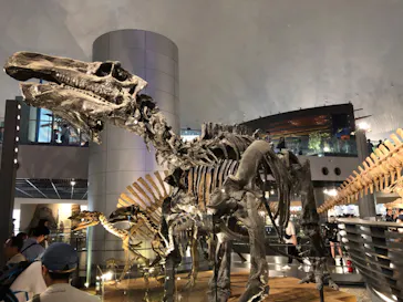 福井県立恐竜博物館に投稿された画像（2023/7/17）