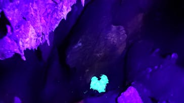 あぶくま洞に投稿された画像（2023/7/17）