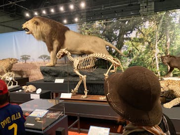 特別展「ネコ」 ～にゃんと！クールなハンターたち～に投稿された画像（2023/7/17）