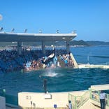 鴨川シーワールドに投稿された画像（2023/7/17）