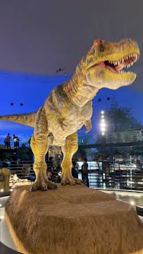 福井県立恐竜博物館に投稿された画像（2023/7/17）