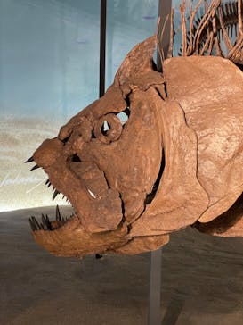 福井県立恐竜博物館に投稿された画像（2023/7/17）