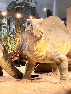 福井県立恐竜博物館に投稿された画像（2023/7/17）