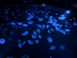 すみだ水族館に投稿された画像（2023/7/17）