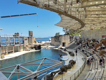 城崎マリンワールドに投稿された画像（2023/7/17）