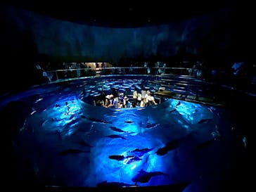 城崎マリンワールドに投稿された画像（2023/7/17）