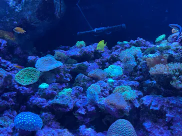 マクセル アクアパーク品川に投稿された画像（2023/7/17）