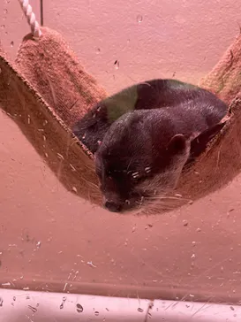 マクセル アクアパーク品川に投稿された画像（2023/7/17）