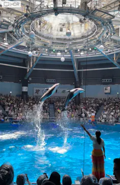 マクセル アクアパーク品川に投稿された画像（2023/7/17）