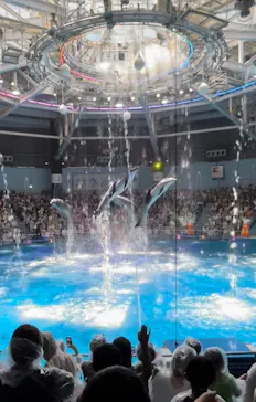 マクセル アクアパーク品川に投稿された画像（2023/7/17）