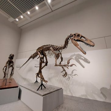 大阪市立自然史博物館に投稿された画像（2023/7/17）