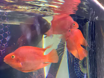 マクセル アクアパーク品川に投稿された画像（2023/7/17）