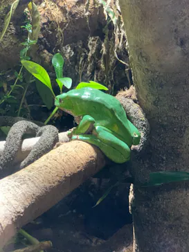 マクセル アクアパーク品川に投稿された画像（2023/7/17）