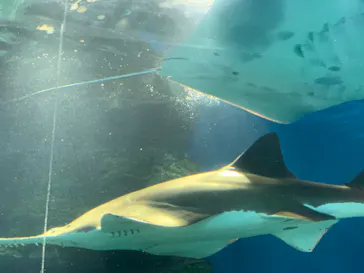 マクセル アクアパーク品川に投稿された画像（2023/7/17）