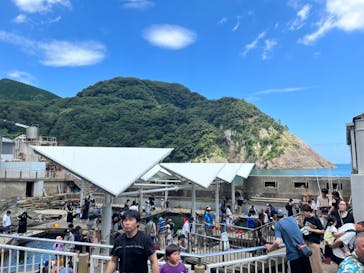 城崎マリンワールドに投稿された画像（2023/7/17）