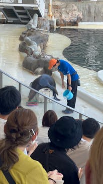 城崎マリンワールドに投稿された画像（2023/7/17）