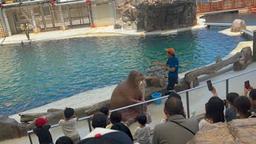 城崎マリンワールドに投稿された画像（2023/7/17）