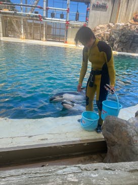 城崎マリンワールドに投稿された画像（2023/7/17）