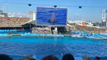 名古屋港水族館に投稿された画像（2023/7/18）