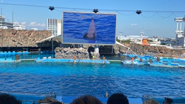 名古屋港水族館に投稿された画像（2023/7/17）