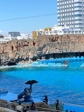 名古屋港水族館に投稿された画像（2023/7/17）