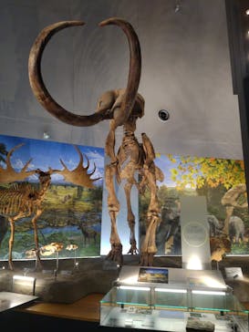 福井県立恐竜博物館に投稿された画像（2023/7/17）