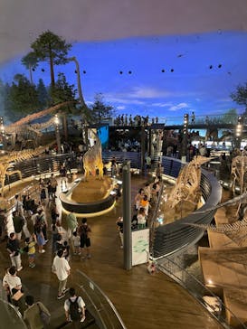 福井県立恐竜博物館に投稿された画像（2023/7/17）