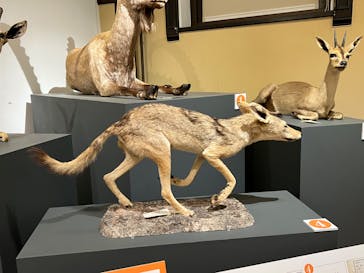 国立科学博物館に投稿された画像（2023/7/17）