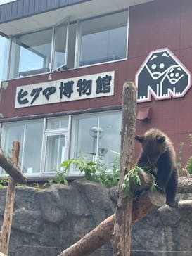 のぼりべつクマ牧場に投稿された画像（2023/7/17）