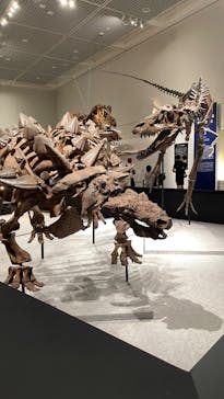 大阪市立自然史博物館に投稿された画像（2023/7/17）