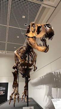 大阪市立自然史博物館に投稿された画像（2023/7/17）