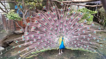 那須ワールドモンキーパークに投稿された画像（2023/7/17）