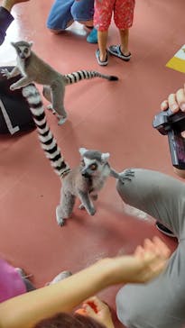 那須ワールドモンキーパークに投稿された画像（2023/7/17）