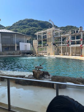 城崎マリンワールドに投稿された画像（2023/7/17）