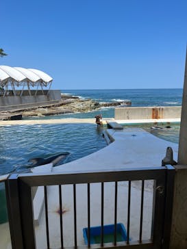 城崎マリンワールドに投稿された画像（2023/7/17）