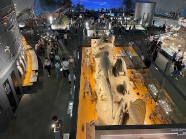福井県立恐竜博物館に投稿された画像（2023/7/17）