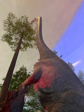 福井県立恐竜博物館に投稿された画像（2023/7/17）