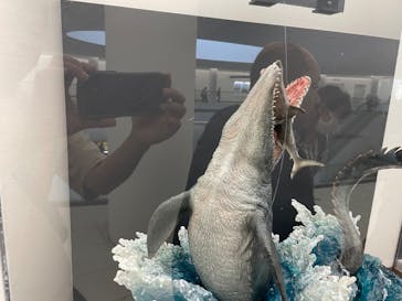 福井県立恐竜博物館に投稿された画像（2023/7/17）
