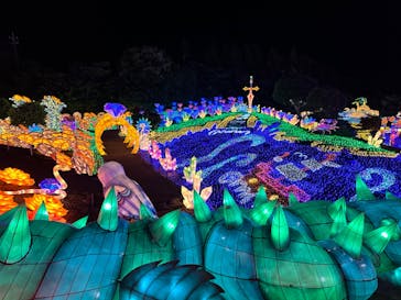 伊豆ぐらんぱる公園に投稿された画像（2023/7/17）