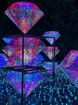 伊豆ぐらんぱる公園に投稿された画像（2023/7/17）