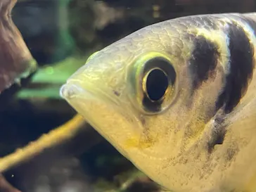 マクセル アクアパーク品川に投稿された画像（2023/7/18）