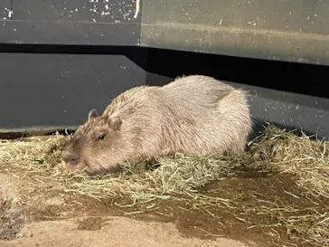 マクセル アクアパーク品川に投稿された画像（2023/7/18）