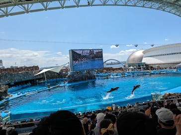 名古屋港水族館に投稿された画像（2023/7/18）