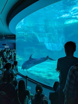 名古屋港水族館に投稿された画像（2023/7/18）