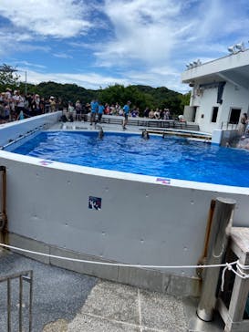 九十九島水族館海きららに投稿された画像（2023/7/18）