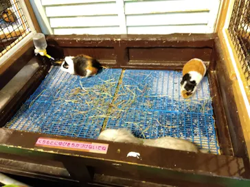 ひらかたパークに投稿された画像（2023/7/18）