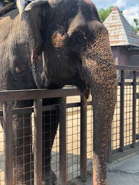 那須サファリパークに投稿された画像（2023/7/18）