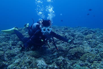 Step海ダイバーズ・スクール宮古島に投稿された画像（2023/7/18）